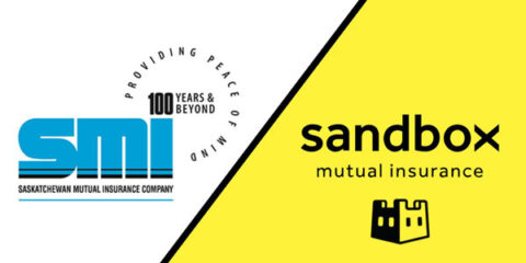 SMI and sandbox mutual insurance